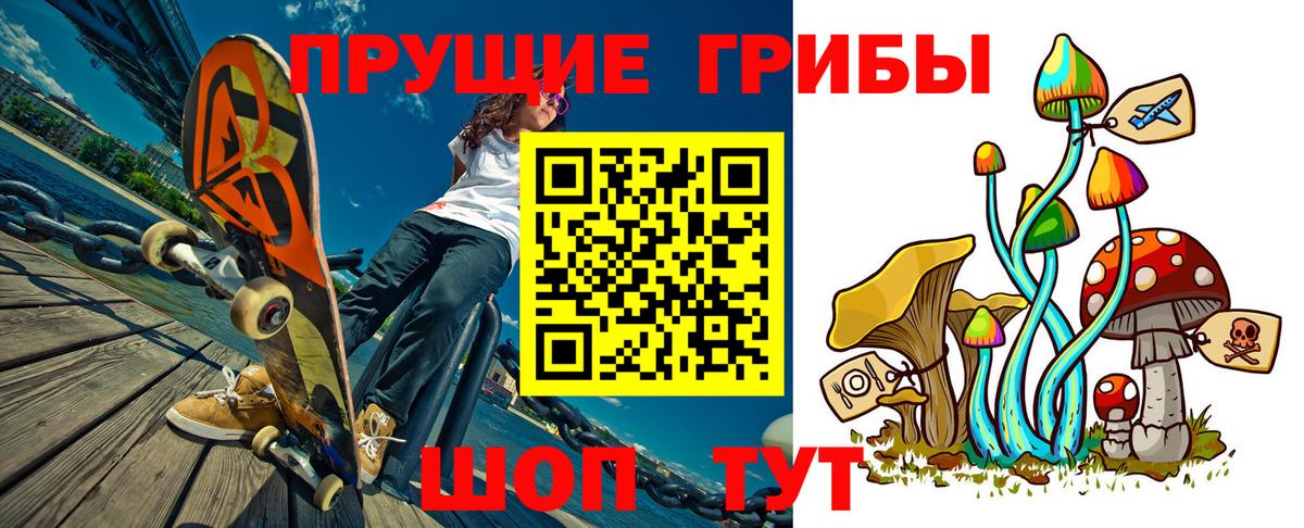 Псилоцибиновые грибы прущие грибы Тавда